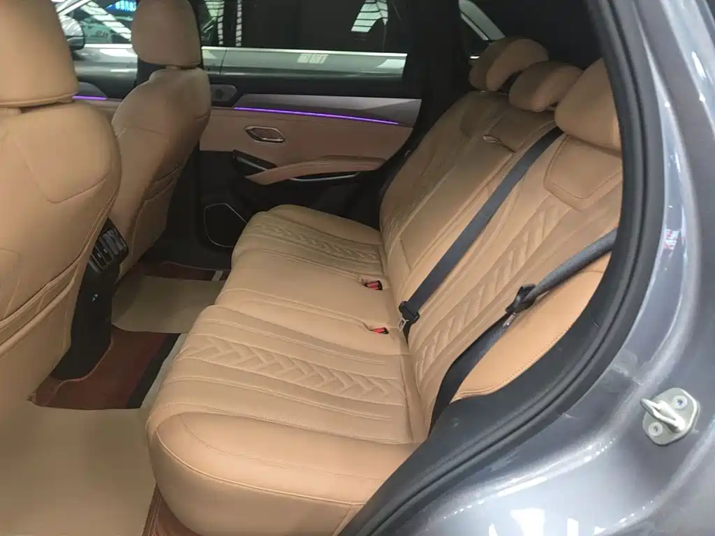 BYD Song L DM-i 2024 — фото 17