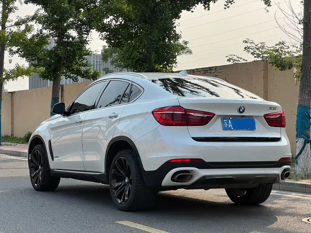 BMW X6 2019