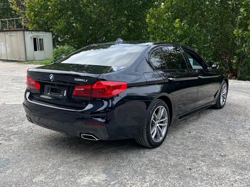 BMW 5 Series 2018 — фото 10
