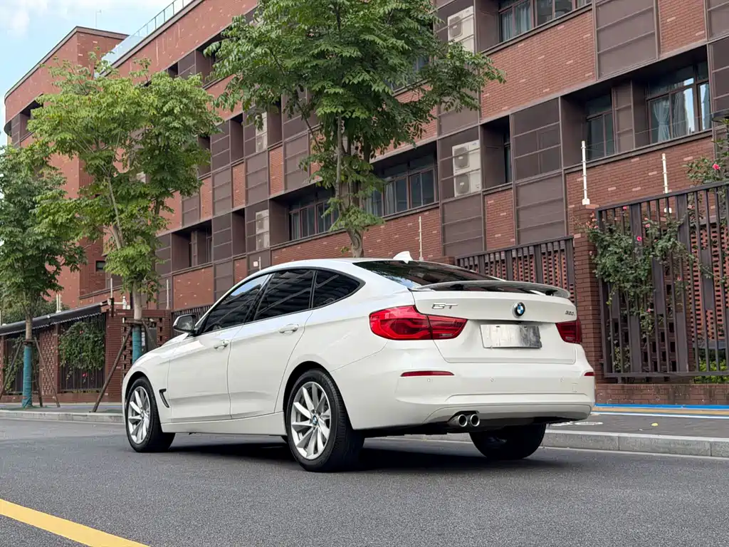 BMW 3 Series GT 2018 — фото 19