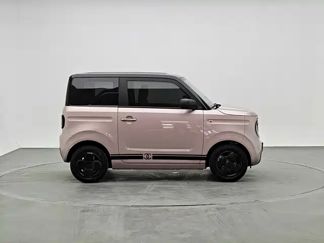 Geely Galaxy Panda 2024 — фото 3