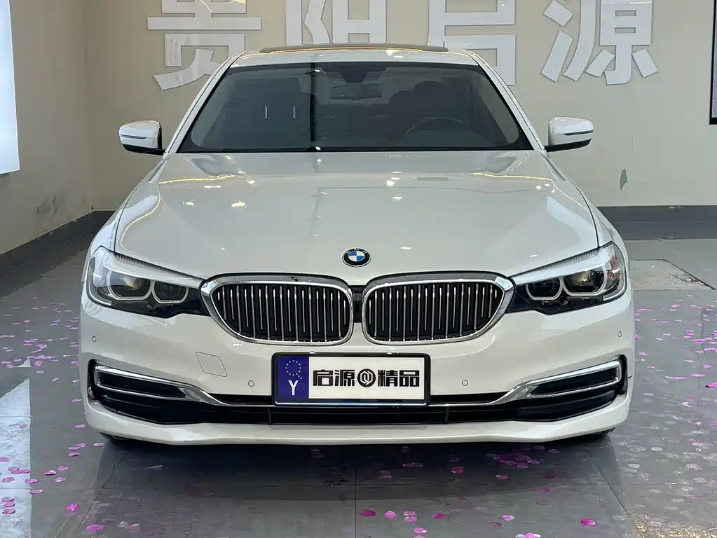 BMW 5 Series 2019
