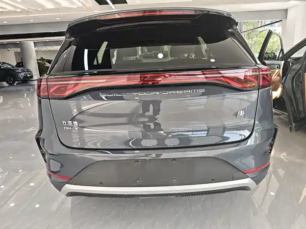BYD Tang New Energy 2024