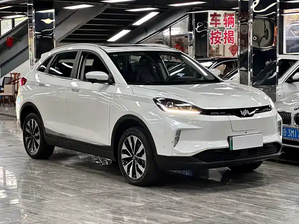 WM Motor EX5 2019