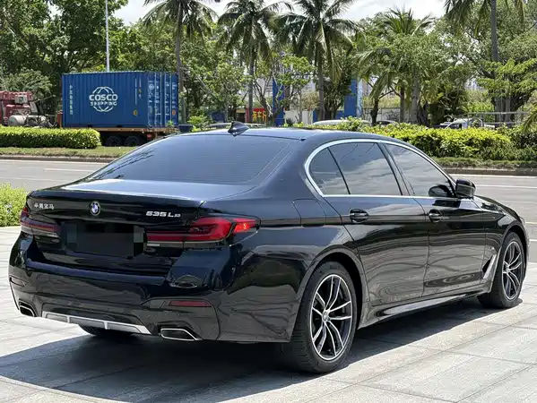 BMW 5 Series New Energy 2021