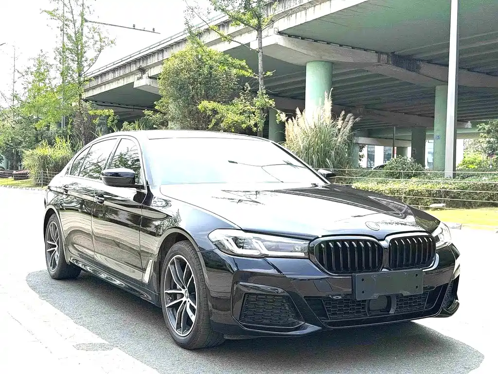 BMW 5 Series New Energy 2022