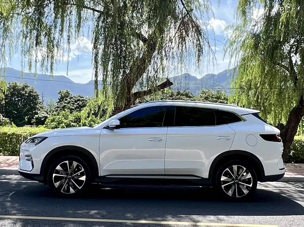 BYD Song PLUS New Energy 2025 — фото 3
