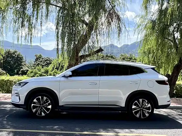 BYD Song PLUS New Energy 2025