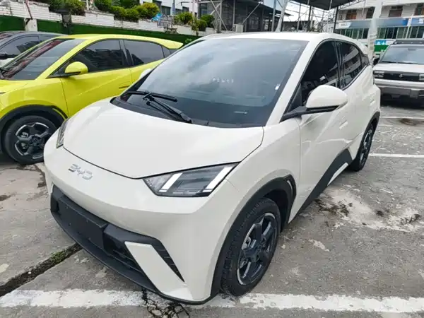BYD Seagull 2024