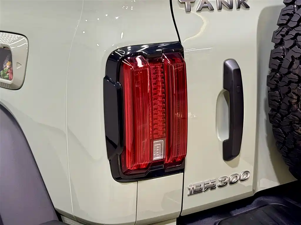 Tank 300 2024 — фото 9