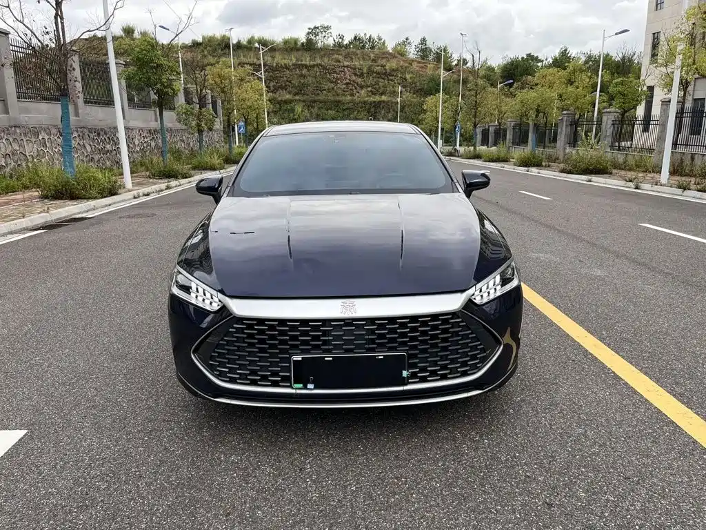 BYD Qin PLUS 2023 — фото 2