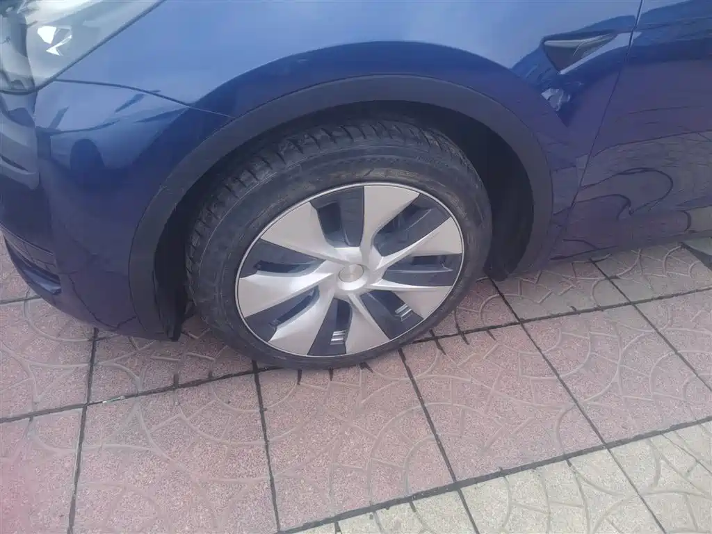 Tesla Model Y 2021 — фото 23