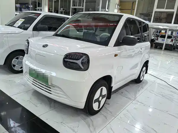Zhidou Rainbow 2025