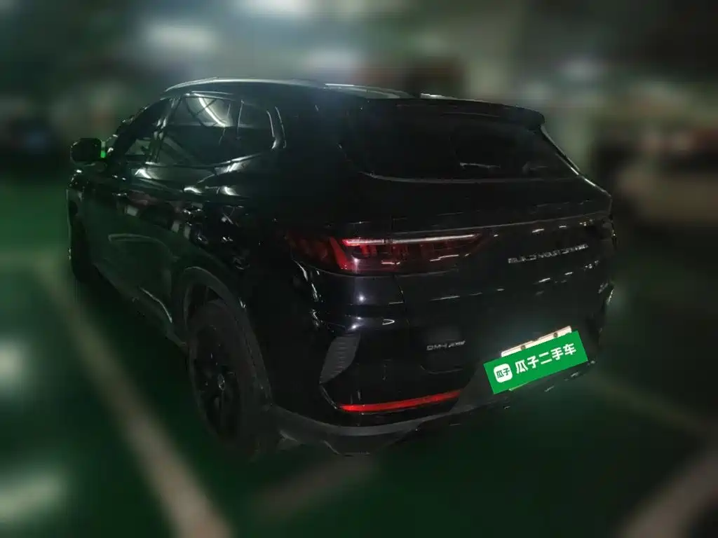 BYD Song PLUS New Energy 2022 — фото 25