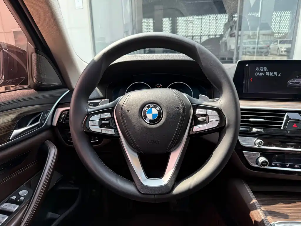 BMW 5 Series 2019 — фото 23