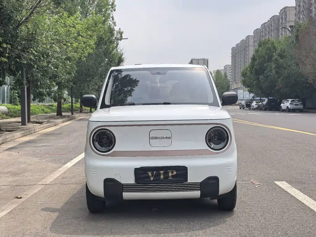 Geely Galaxy Panda 2024 — фото 2