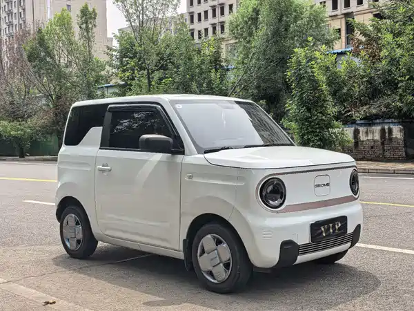 Geely Galaxy Panda 2024