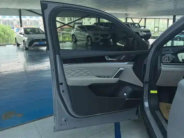 BYD Tang New Energy 2025