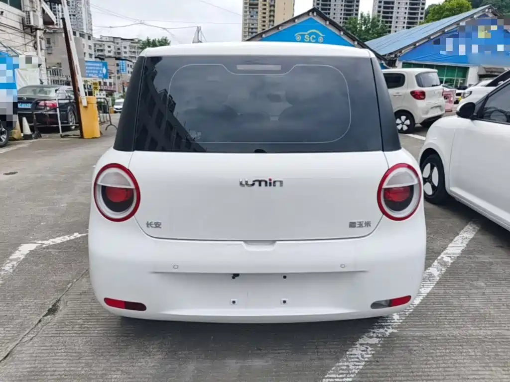 Qiyuan Lumin 2025