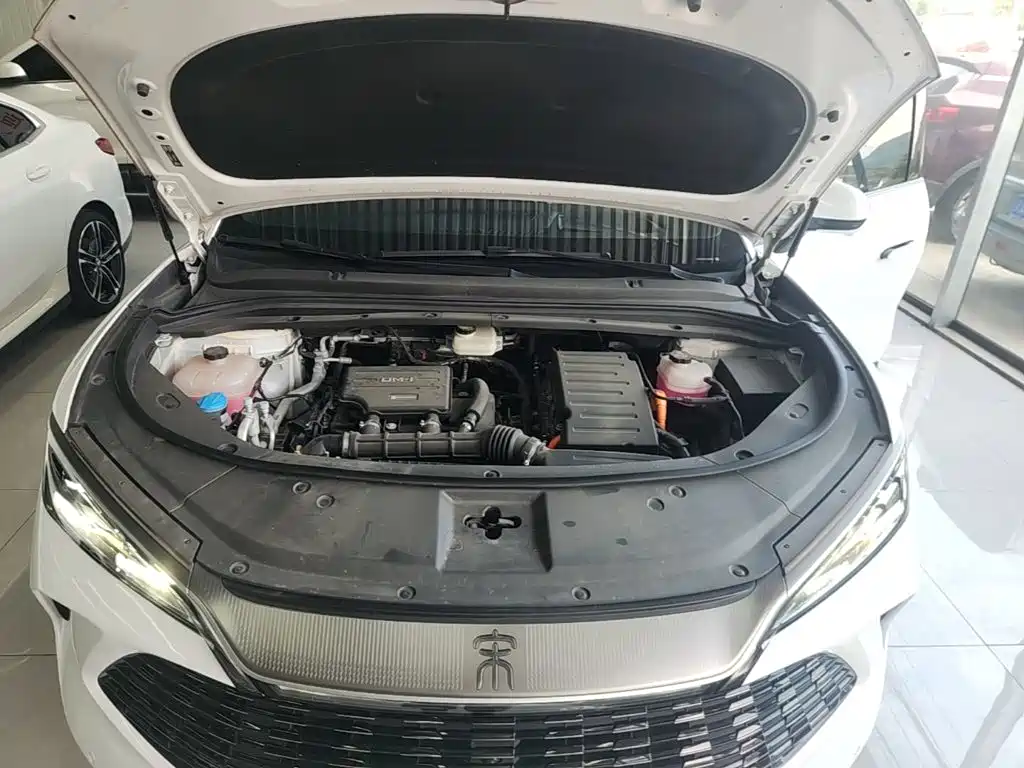 BYD Song L DM-i 2024 — фото 17