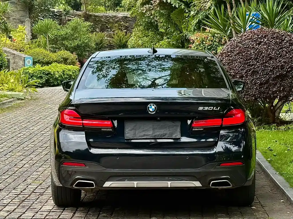 BMW 5 Series 2021