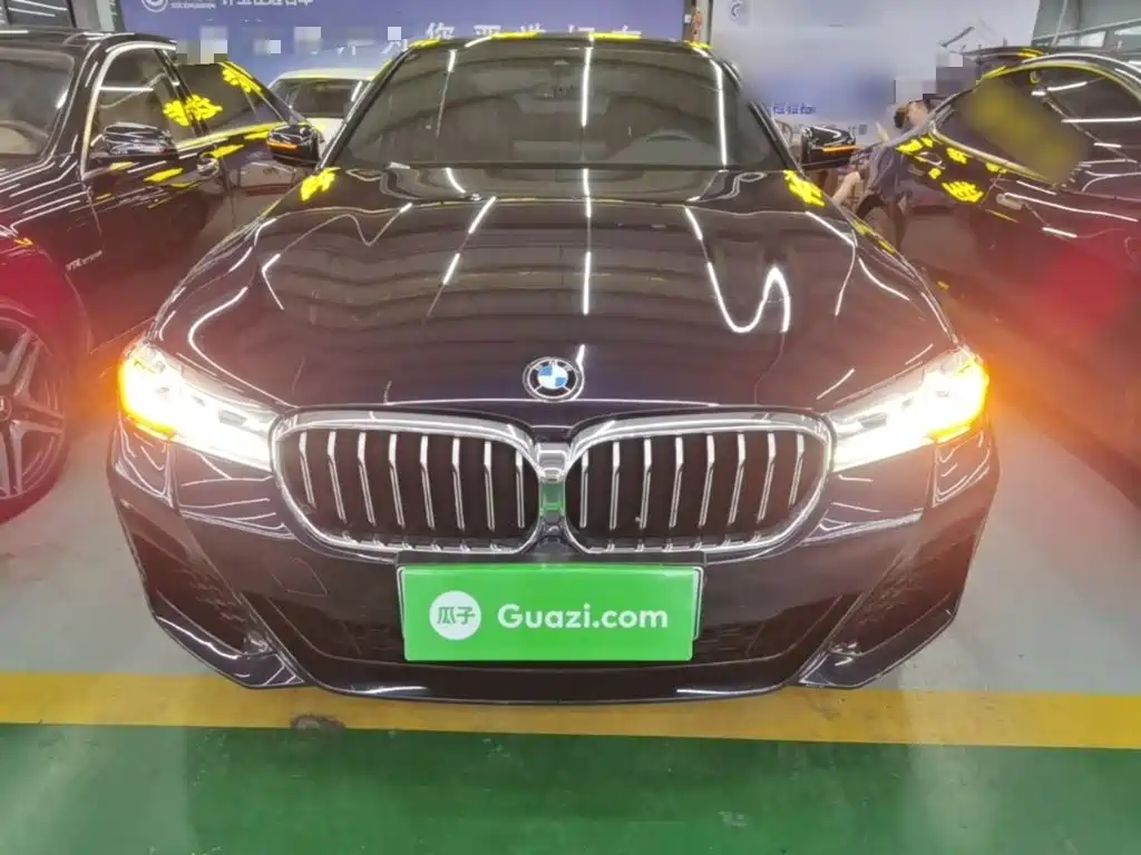 BMW 5 Series New Energy 2021