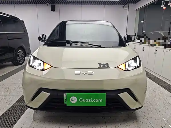 BYD Seagull 2024
