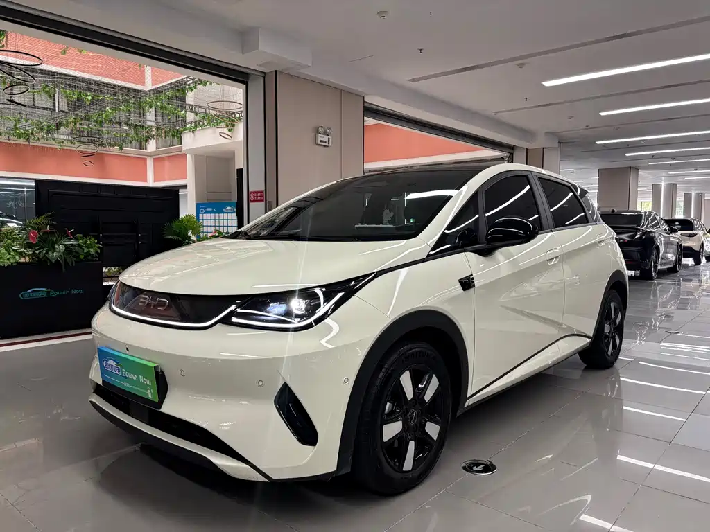 BYD Dolphin 2025