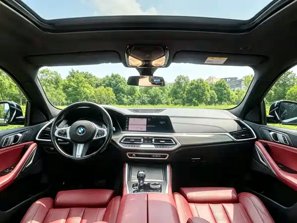 BMW X6 2021