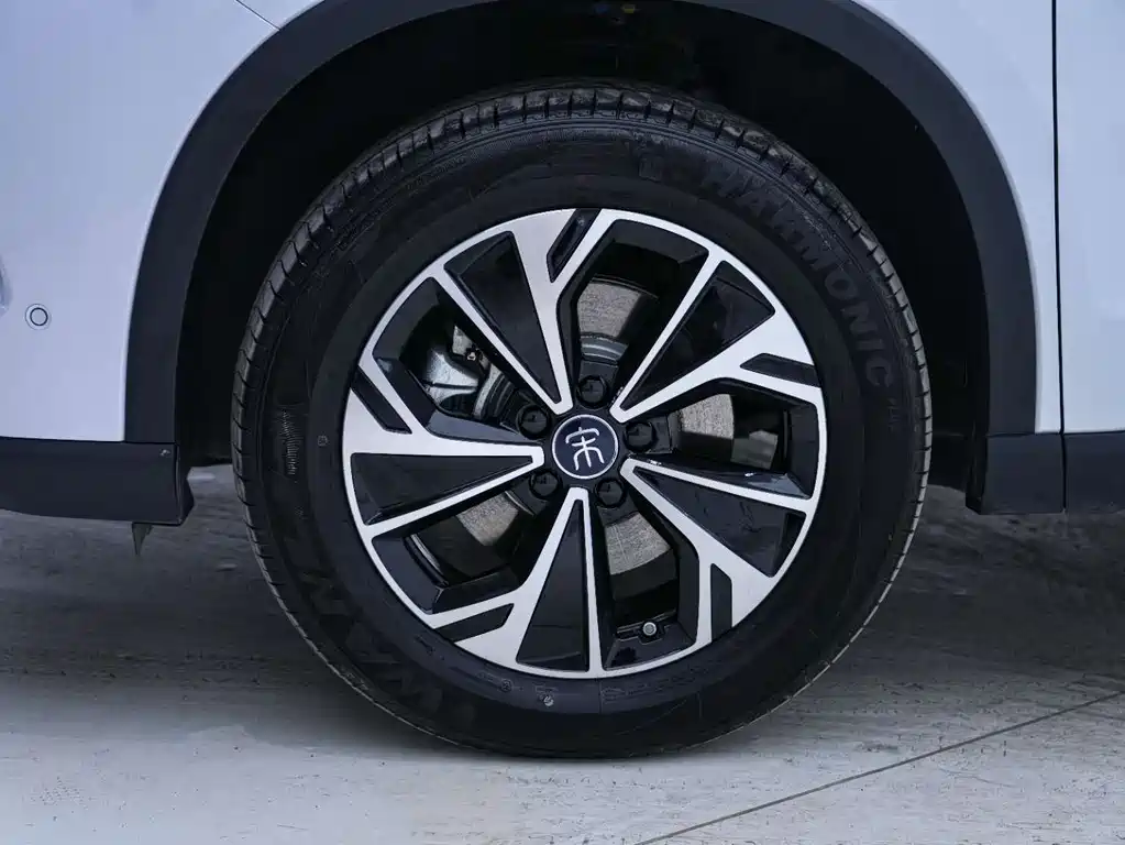 BYD Pro New Energy 2025 — фото 9