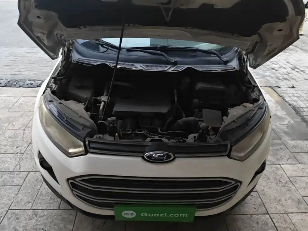 Ford EcoSport 2015 — фото 20