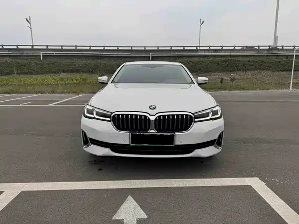 BMW 5 Series New Energy 2021