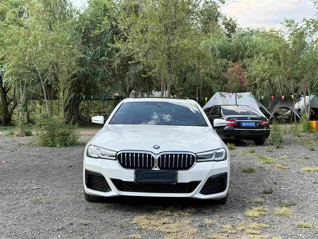 BMW 5 Series New Energy 2020