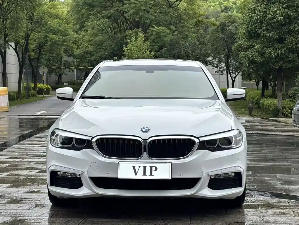 BMW 5 Series 2017
