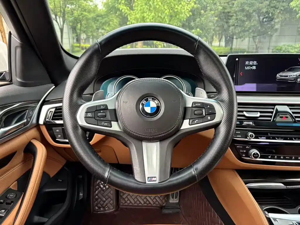 BMW 5 Series 2017 — фото 25