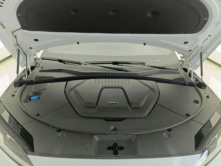 BYD Song PLUS New Energy 2025 — фото 10