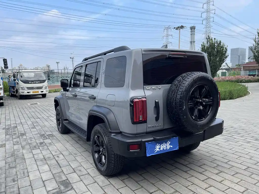 Tank 300 2021