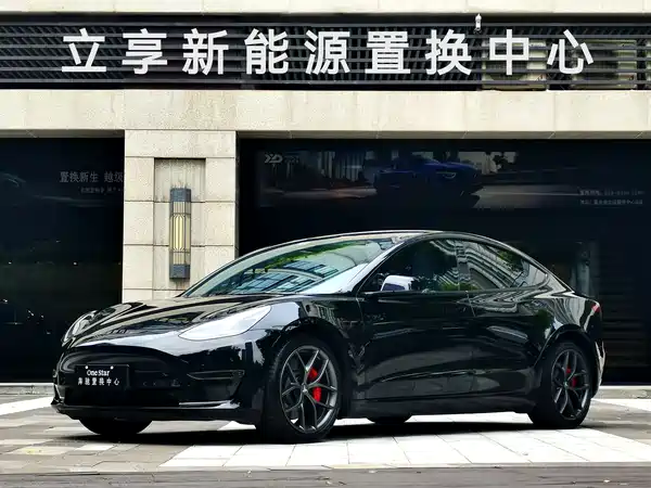 Tesla Model 3 2022