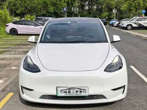 Tesla Model Y 2021
