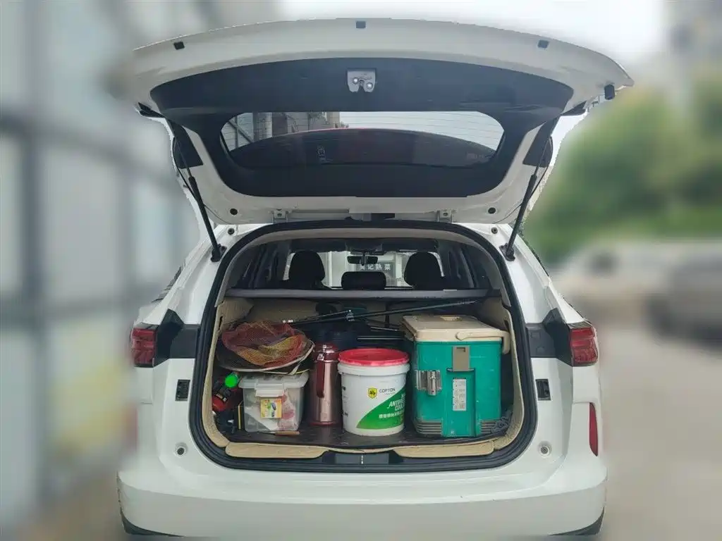 Haval H6 2021 — фото 10