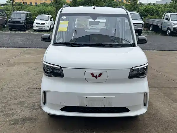 Wuling Zhiguang New Energy 2026