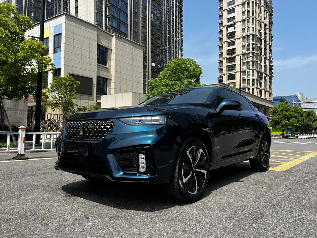 Wey VV7 GT 2021