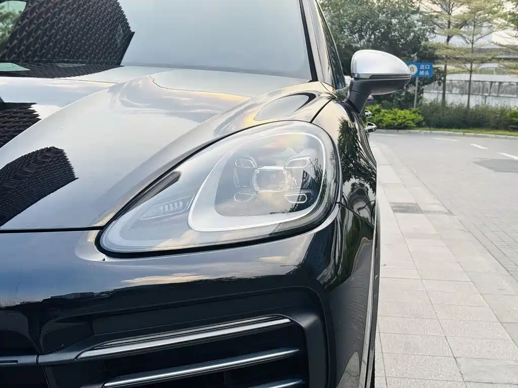 Porsche Cayenne 2020 — фото 16