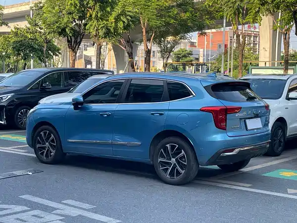 Haval First Love 2021
