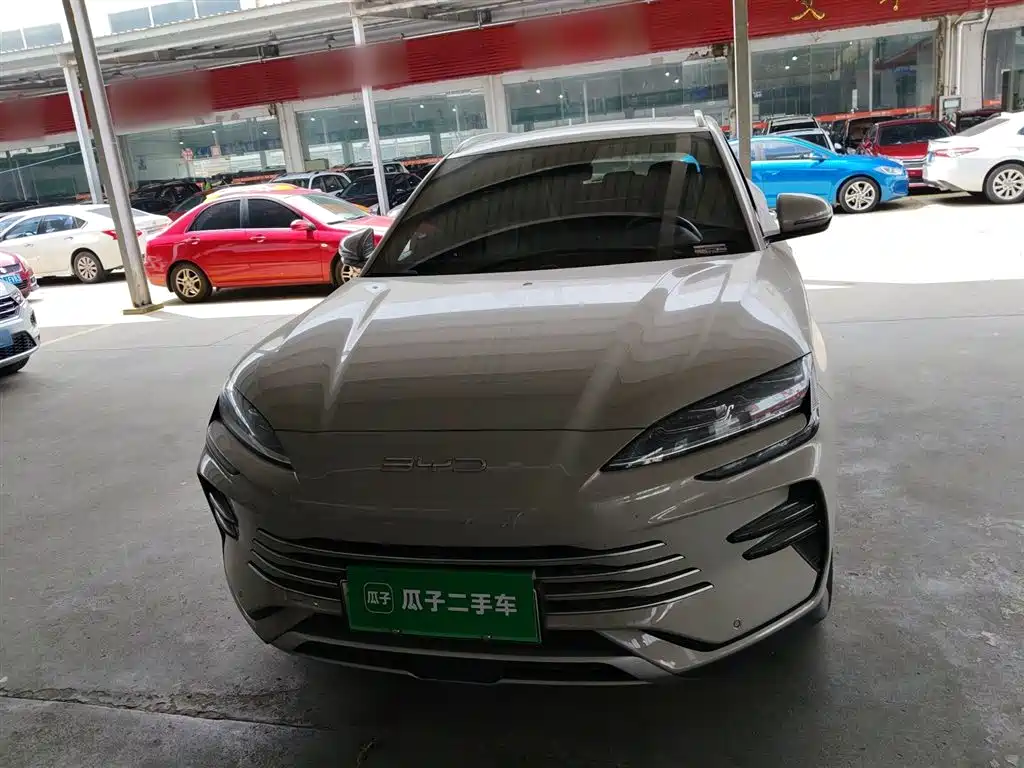 BYD PLUS New Energy 2024 — фото 3