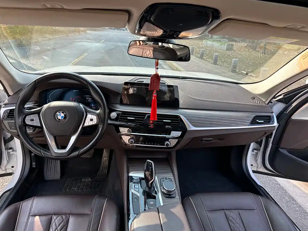 BMW 5 Series New Energy 2020 — фото 5