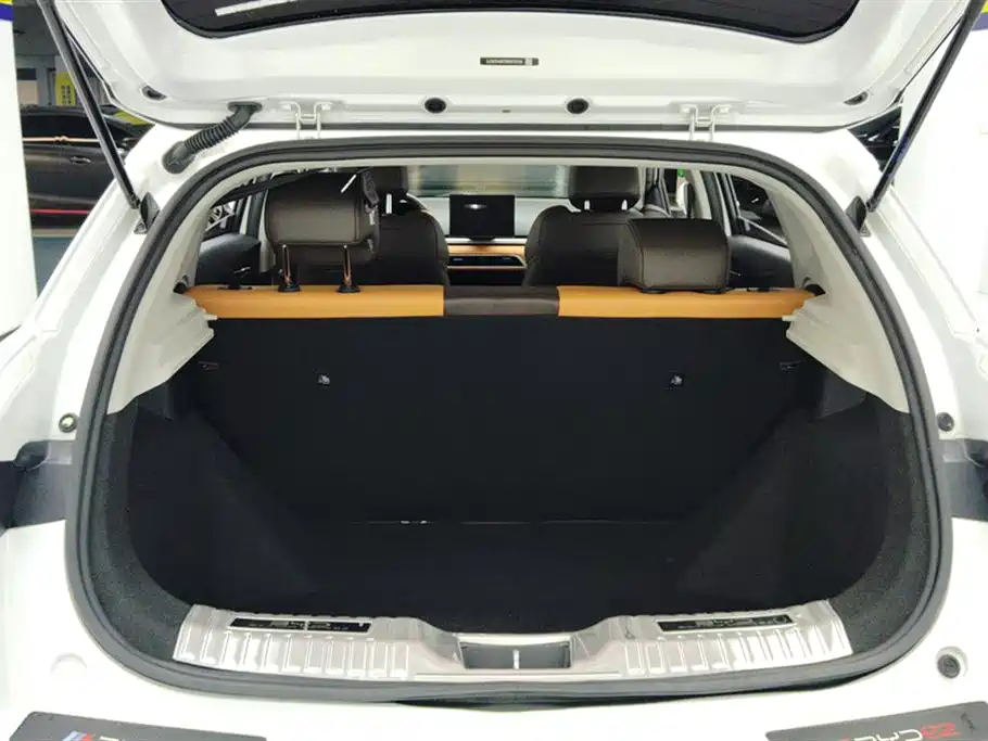 BYD e2 2022
