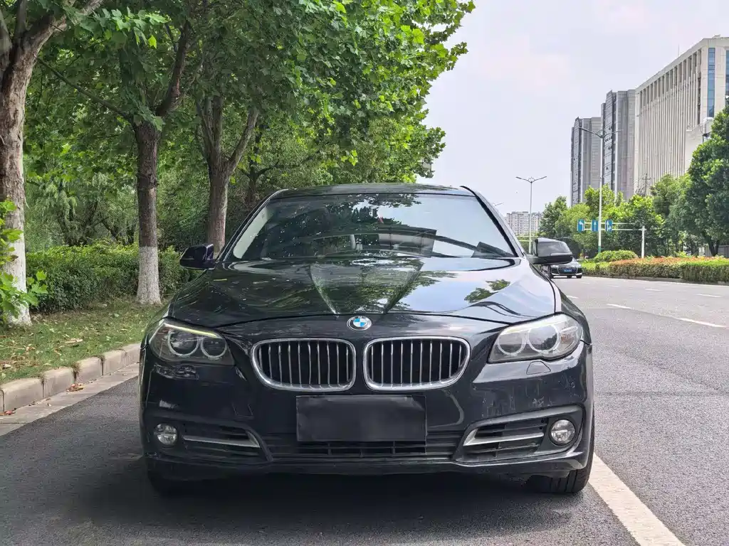 BMW 5 Series 2014 — фото 2