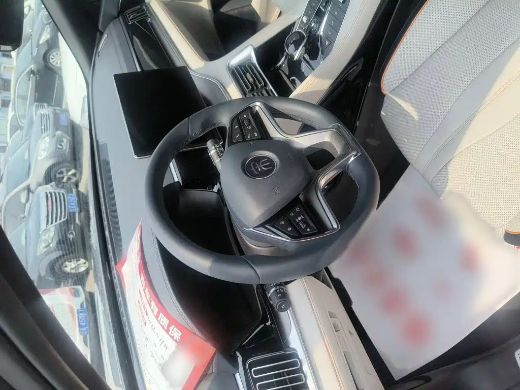 BYD PLUS New Energy 2022 — фото 14