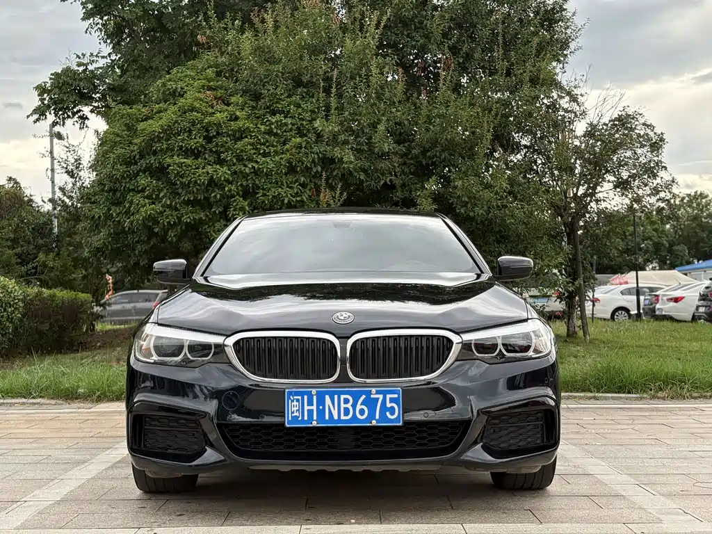 BMW 5 Series 2020